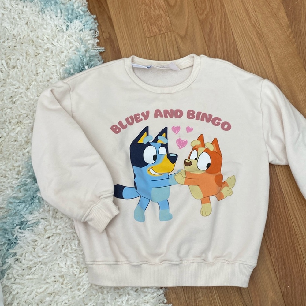 Zara Bluey & Bingo sweatshirt size 5-6